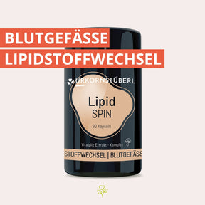 Lipid Spin