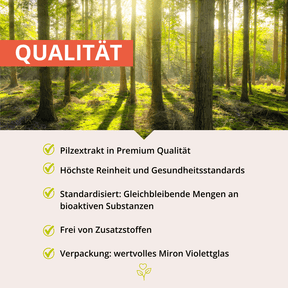 Reishi Vitalpilzextrakt 60 Kapseln